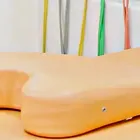宮口カイロプラクティック